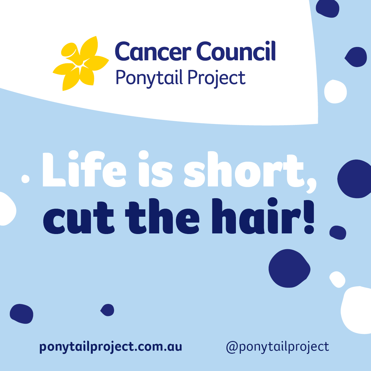 Ponytail Project Ava Hopper